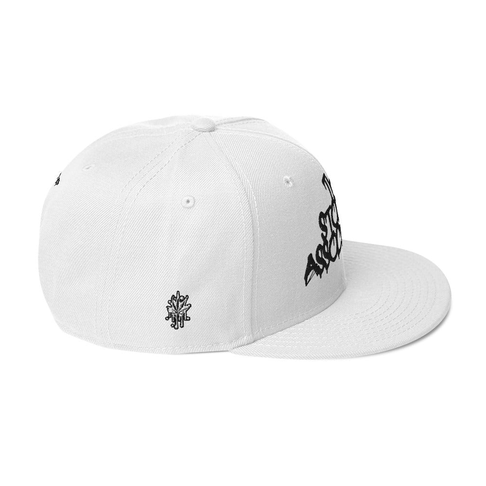 T.S.A Snapback Hat